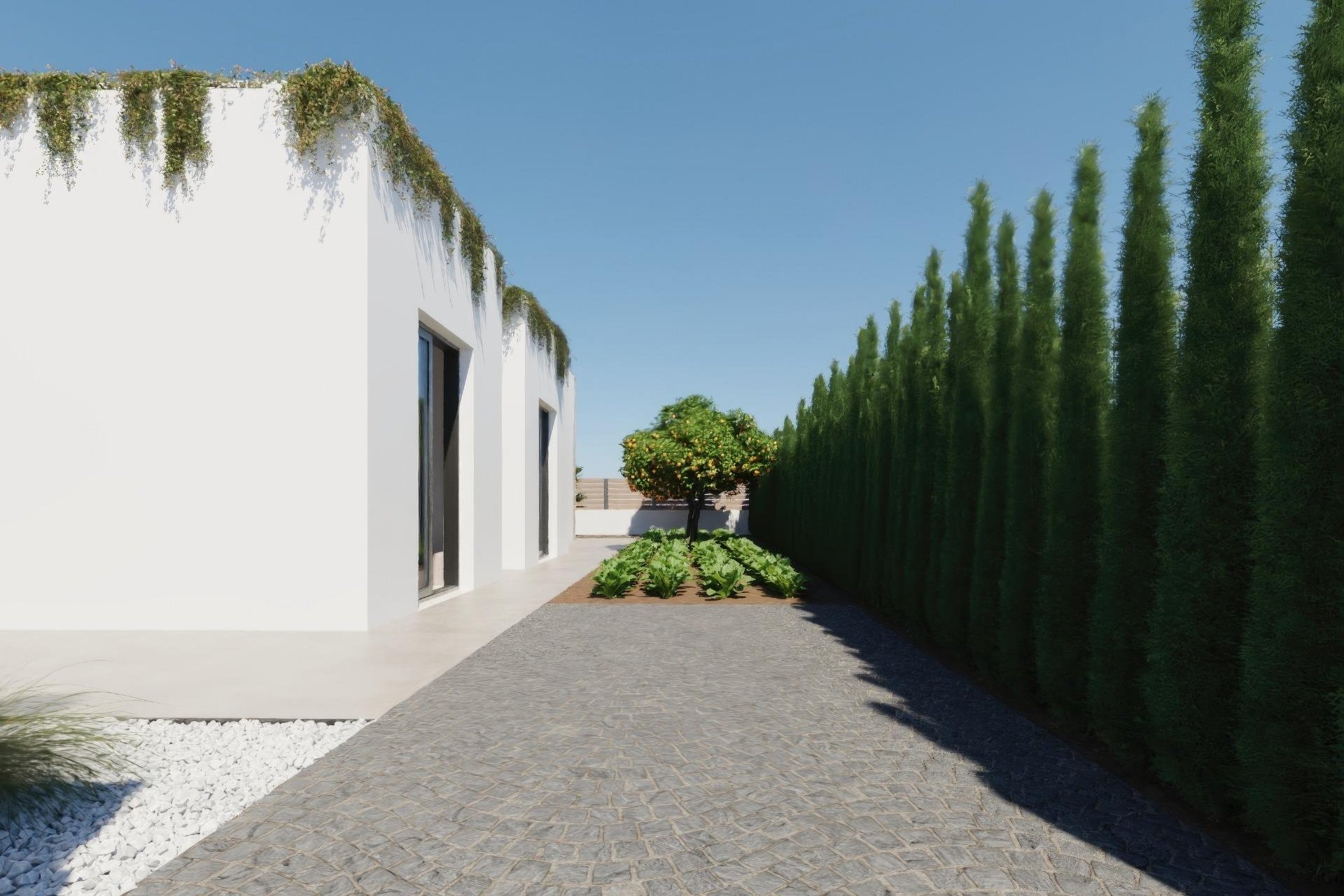 Nybygg - Villa - Fuente Álamo - Hacienda del Alamo