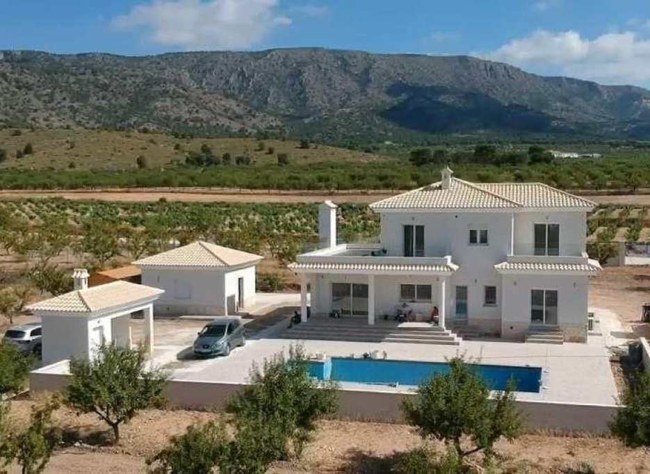 Nybygg - Villa - Pinoso - Camino Del Prado