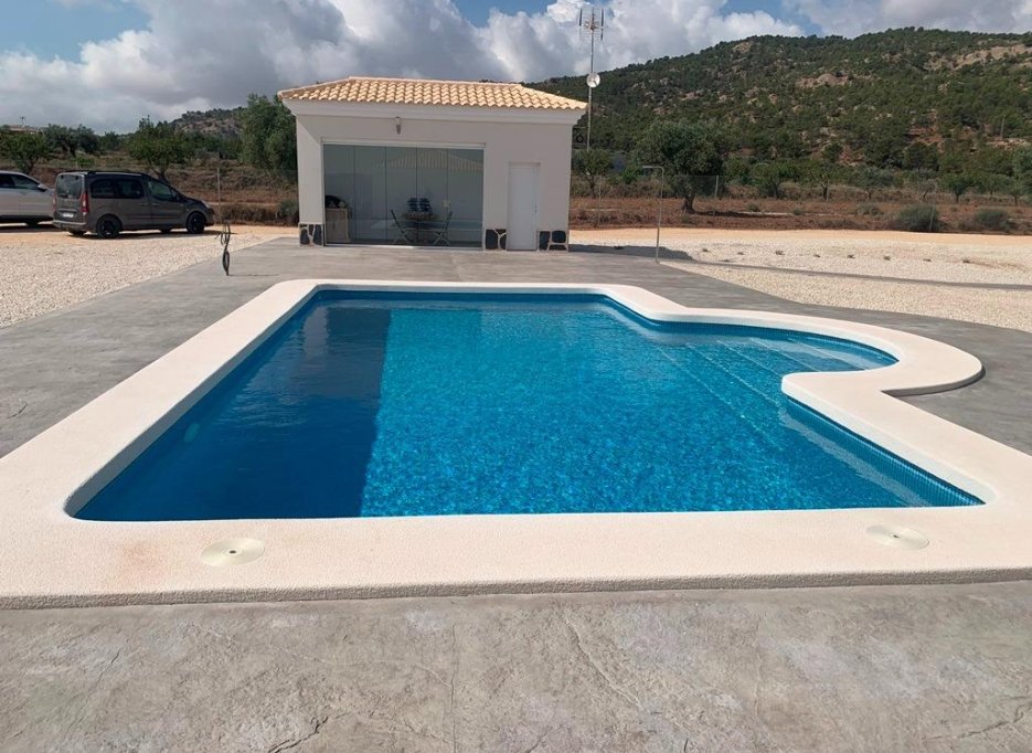 Nybygg - Villa - Pinoso - Camino Del Prado