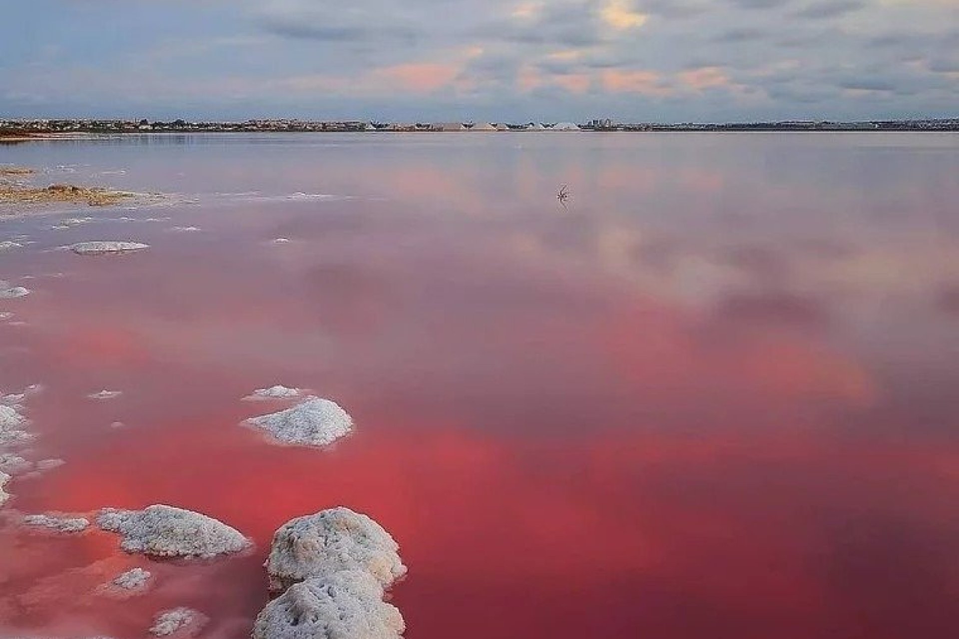 Nybygg - Villa - Torrevieja - Lago Jardín II