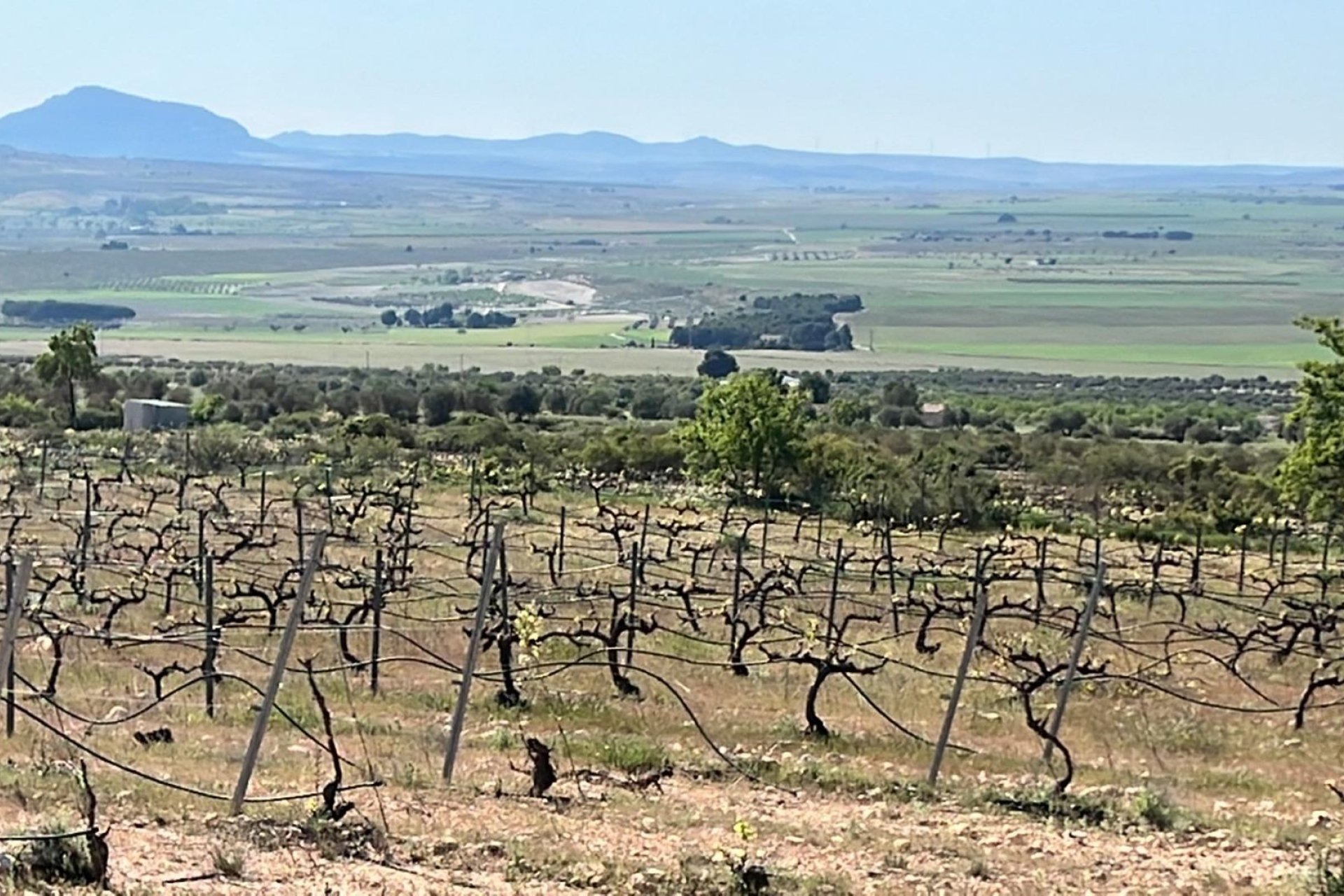 Nybygg - Villa - Yecla