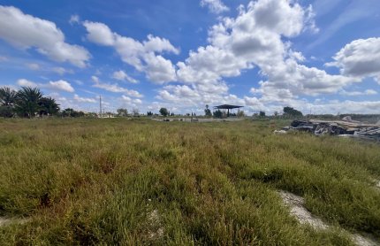 Plot - Resale - Catral - Catral