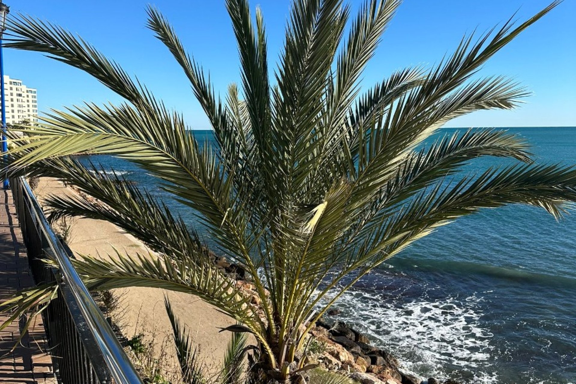 Resale - Apartment - Punta Prima