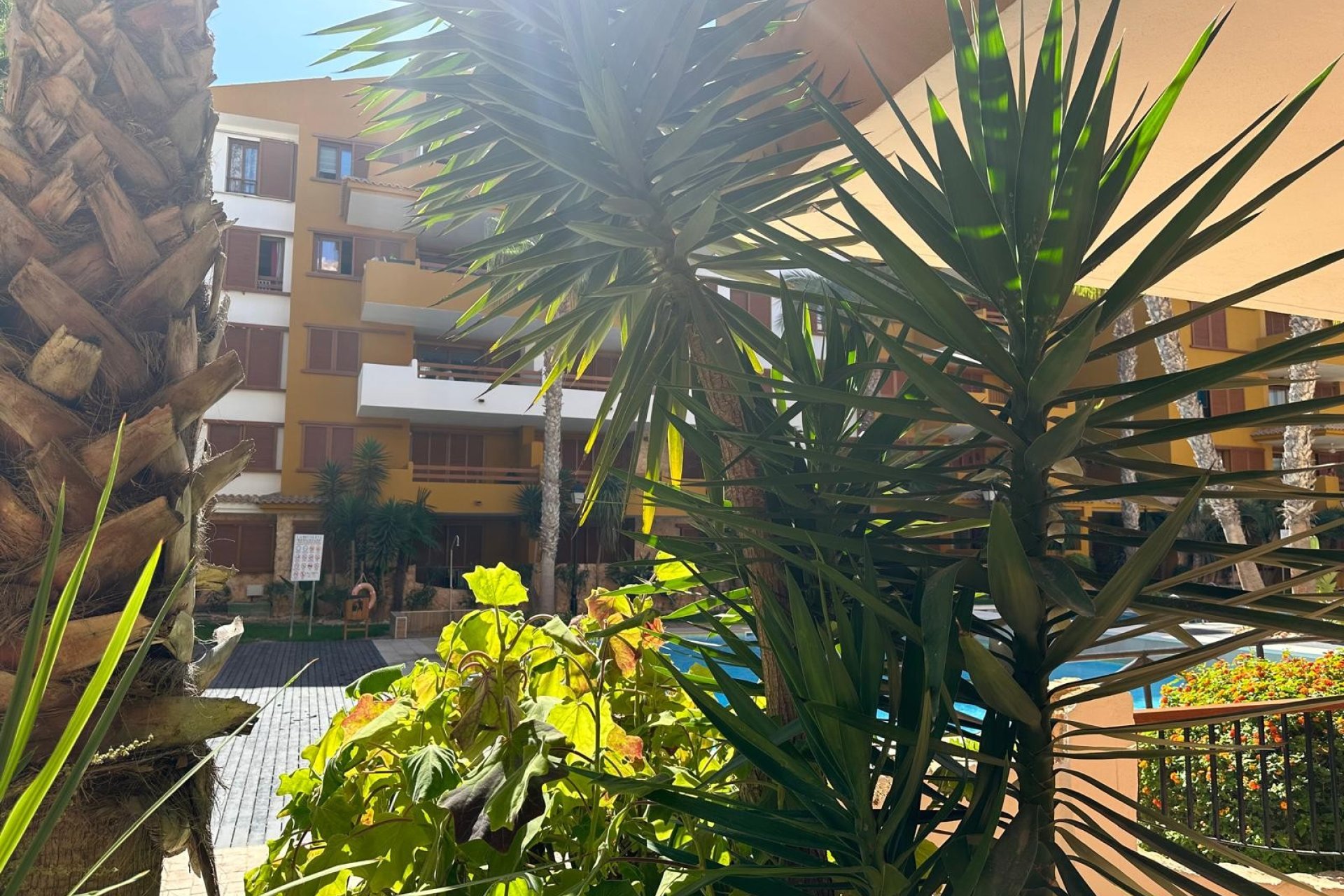 Resale - Apartment - Torrevieja - Punta Prima