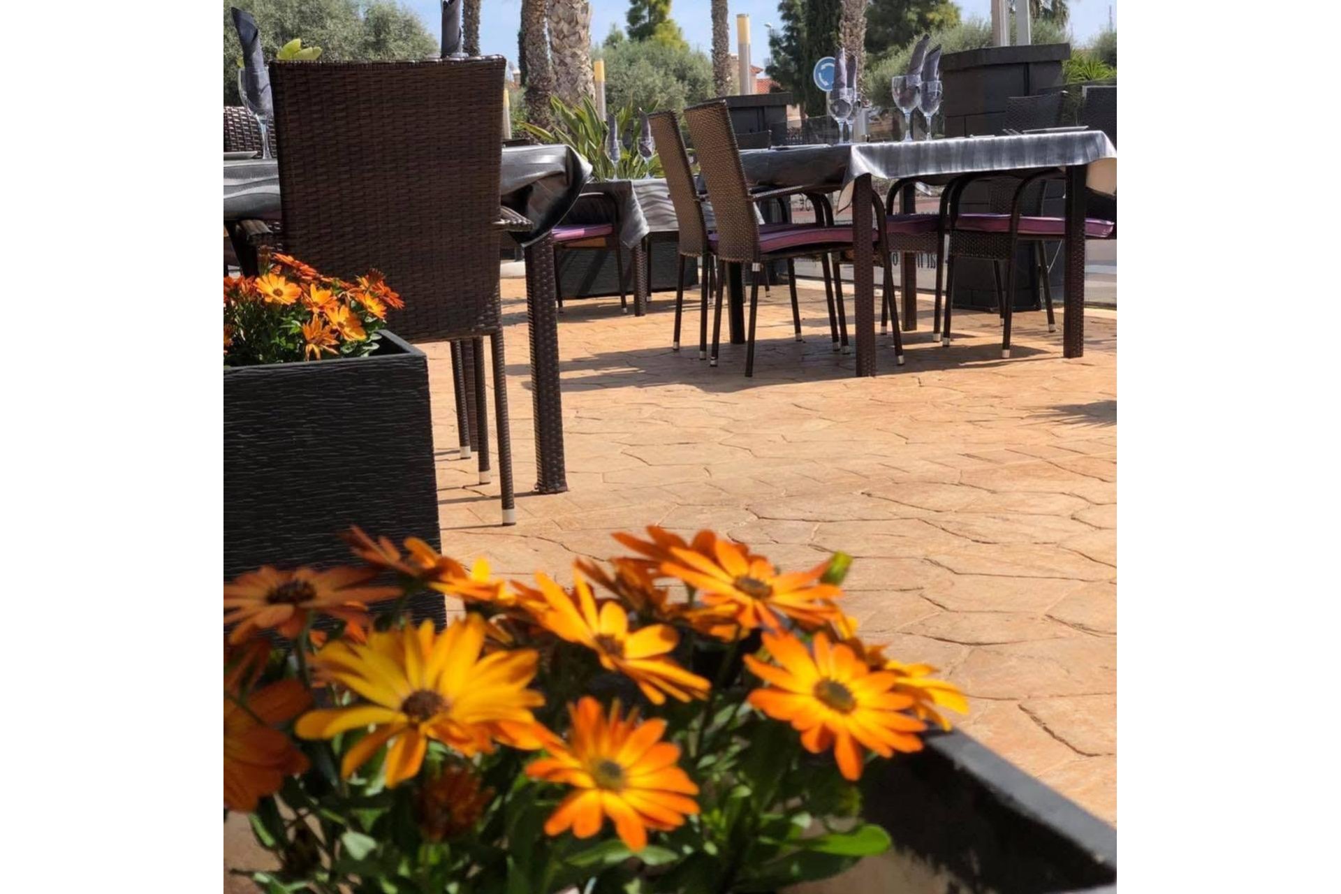 Resale - Commercial - Guardamar