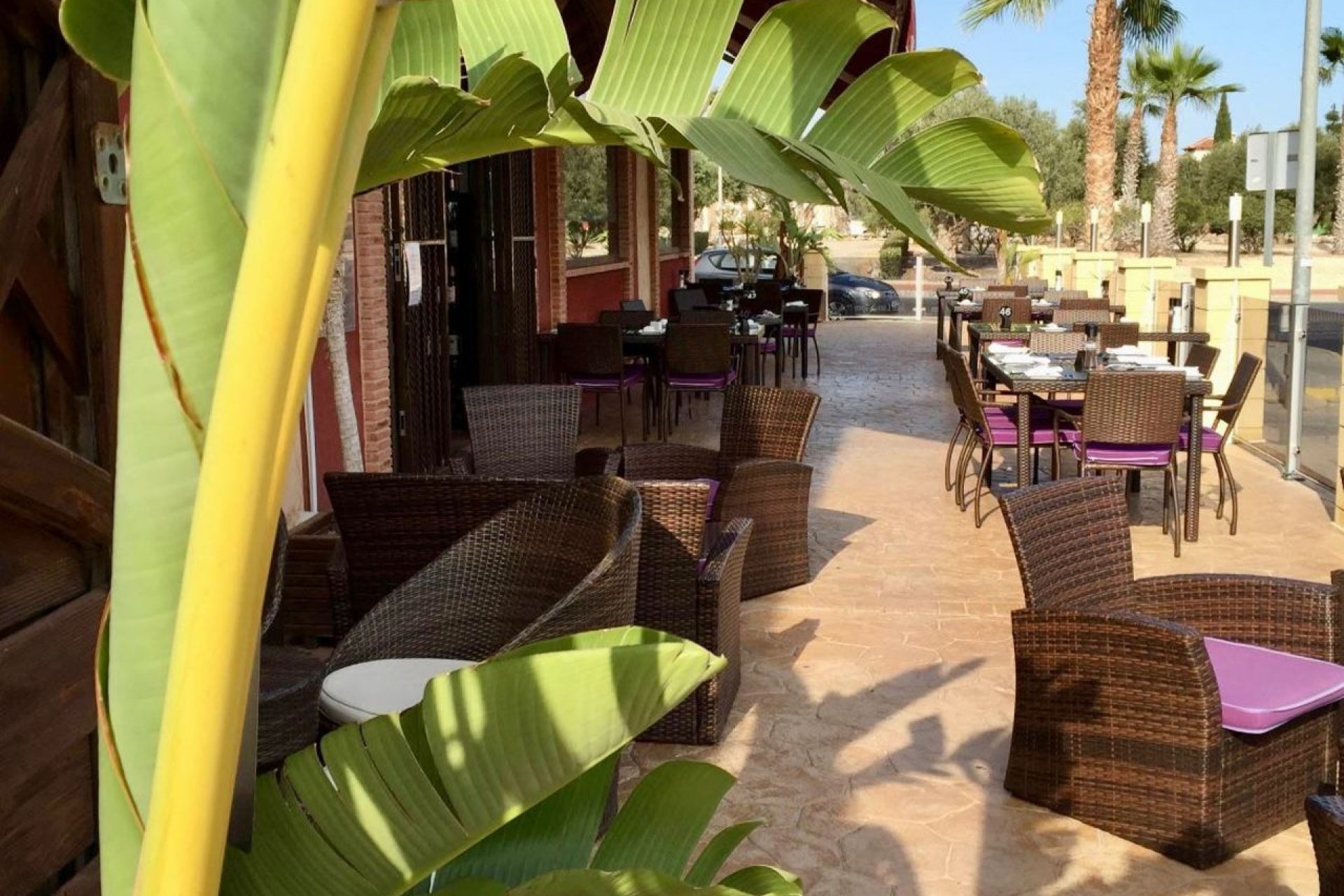 Resale - Commercial - Guardamar