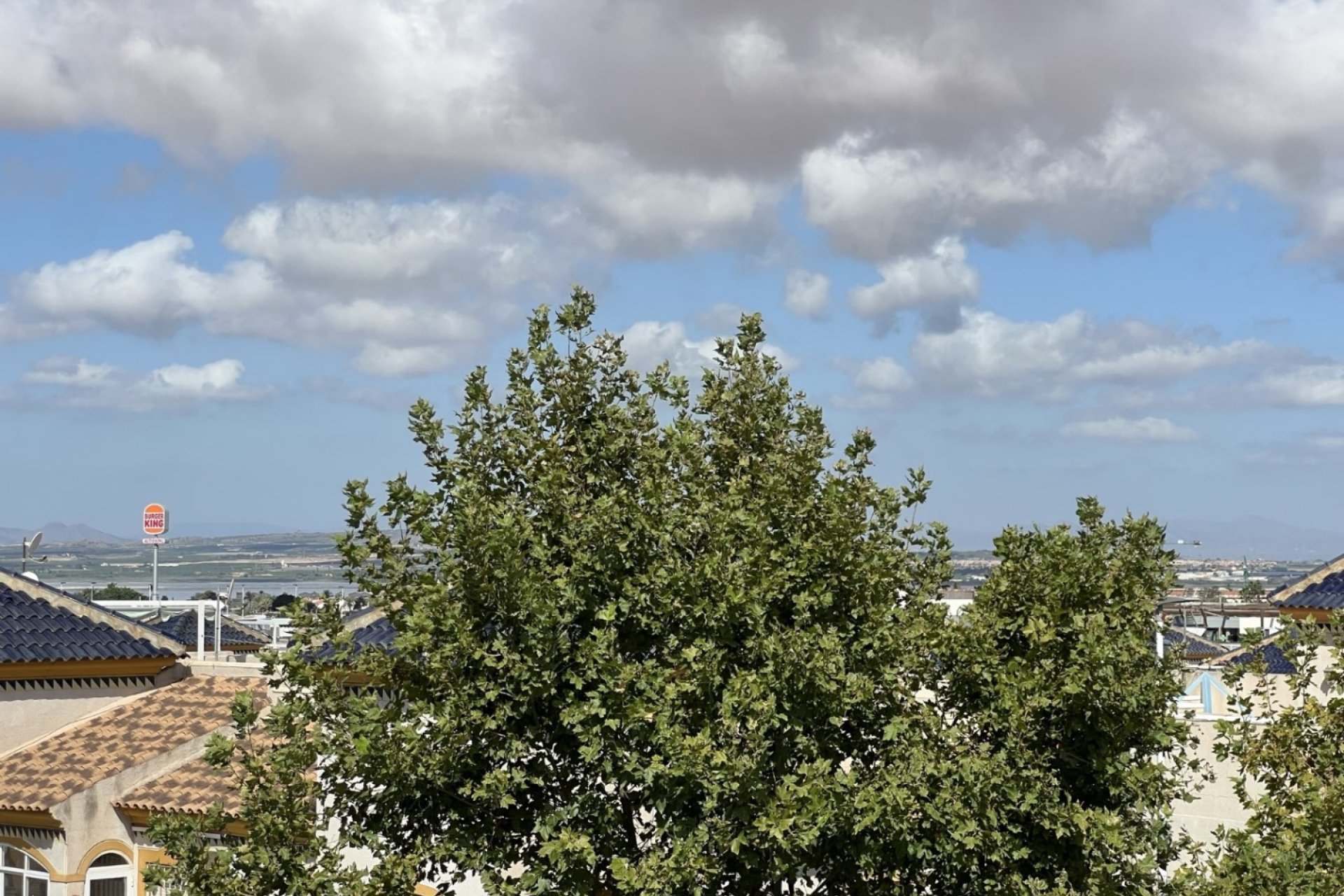 Resale - Commercial - Torrevieja - Costa Blanca Sur