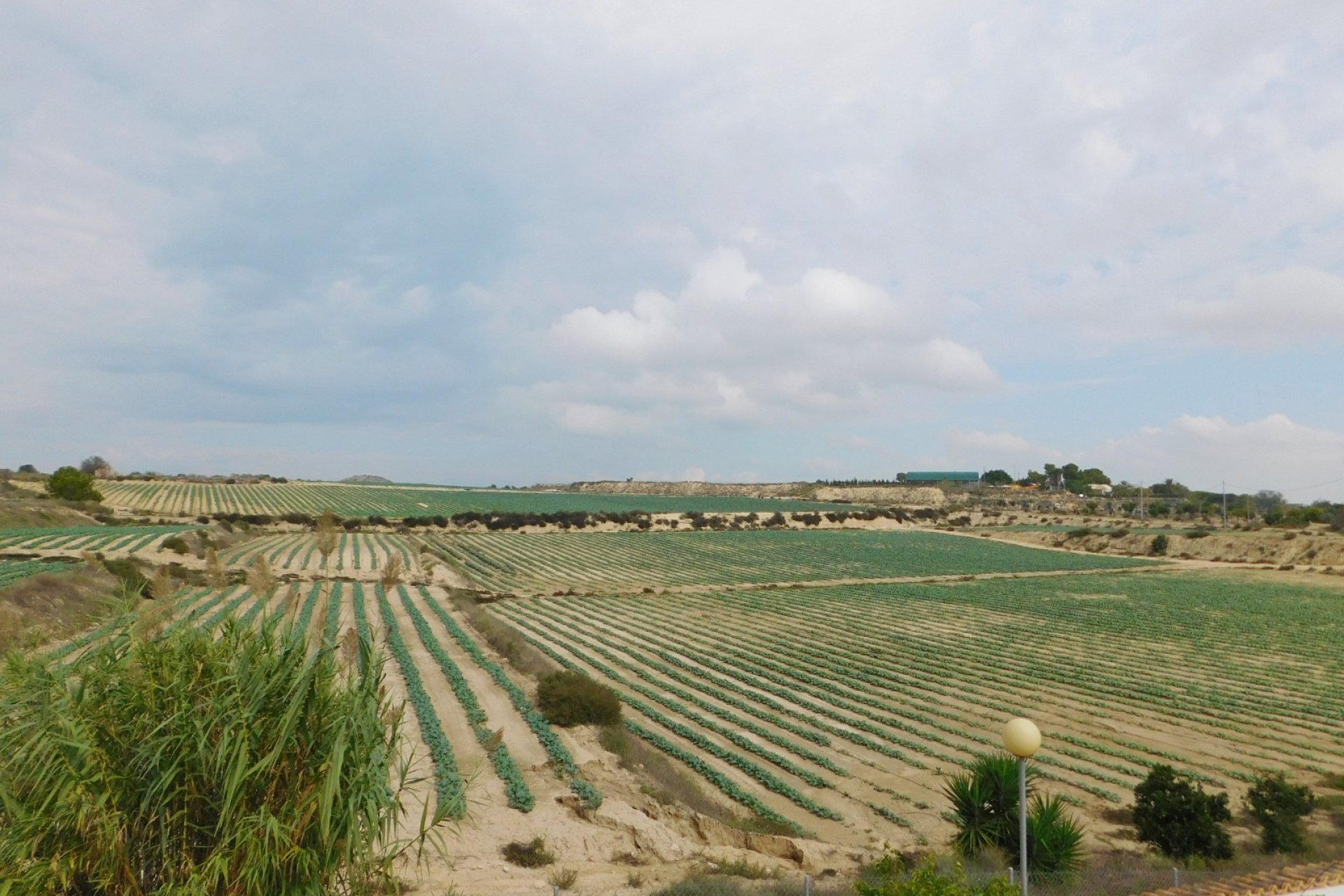 Resale - Detached Villa - San Miguel de Salinas - San Miguel Salinas