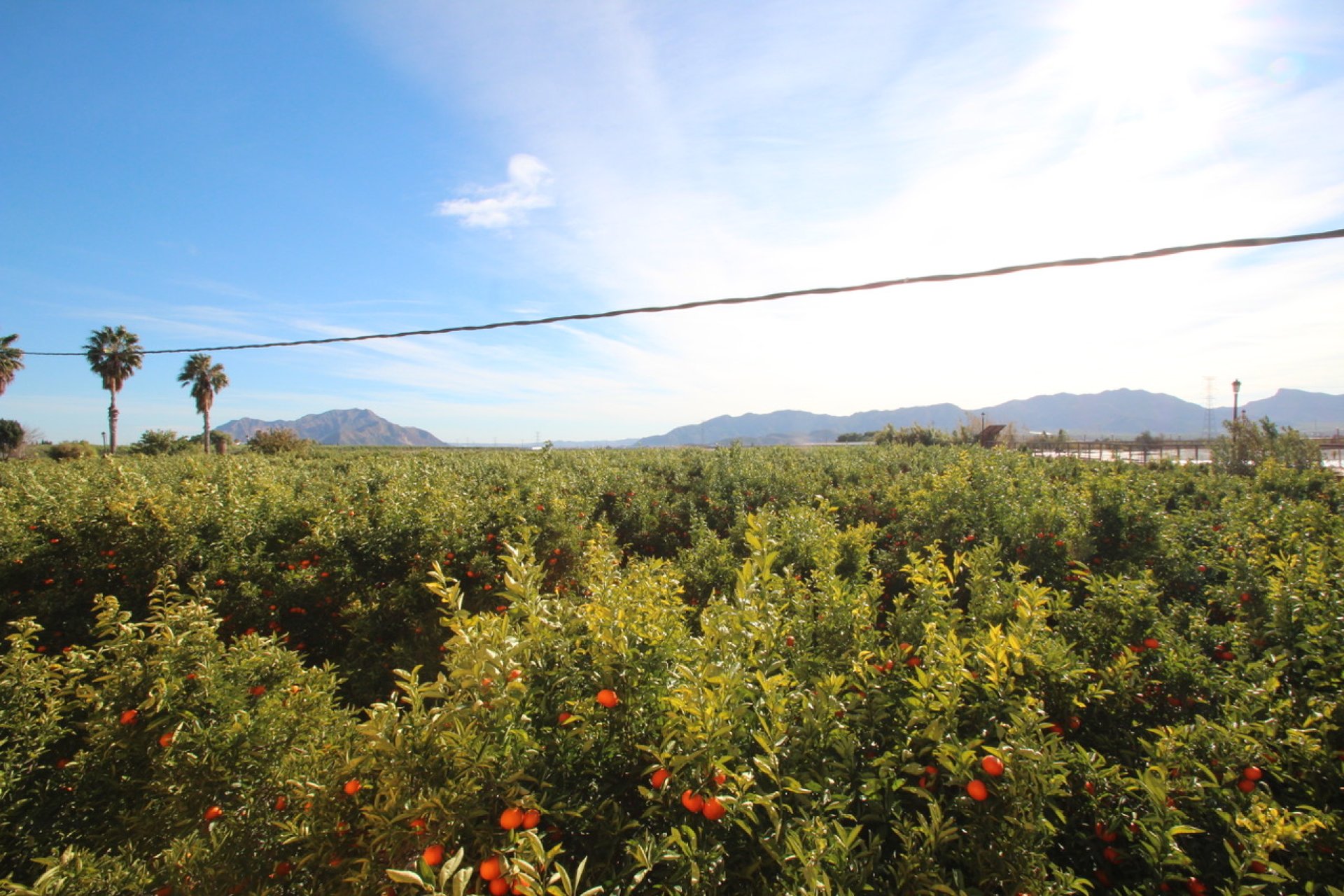 Resale - Finca / Country House - Murcia - Costa Blanca Sur