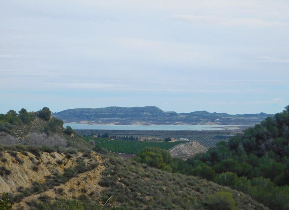 Resale - Finca / Country Property - Torremendo