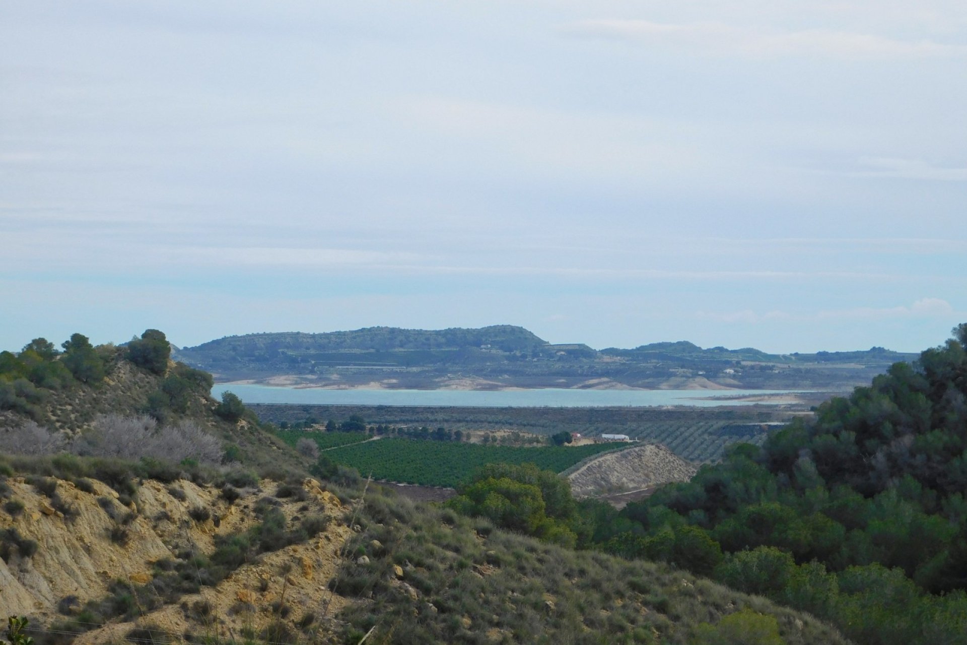 Resale - Finca / Country Property - Torremendo