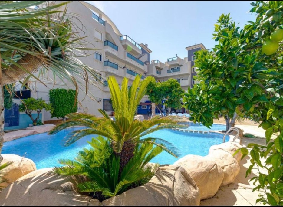 Resale - Penthouse - Cabo Roig
