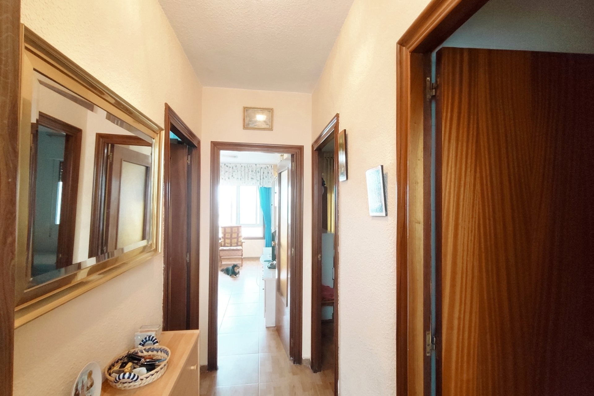 Resale - Penthouse - La Zenia