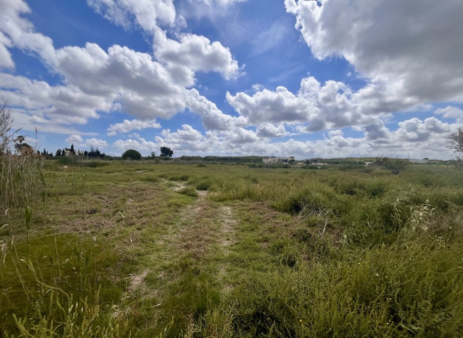 Resale - Plot - Catral