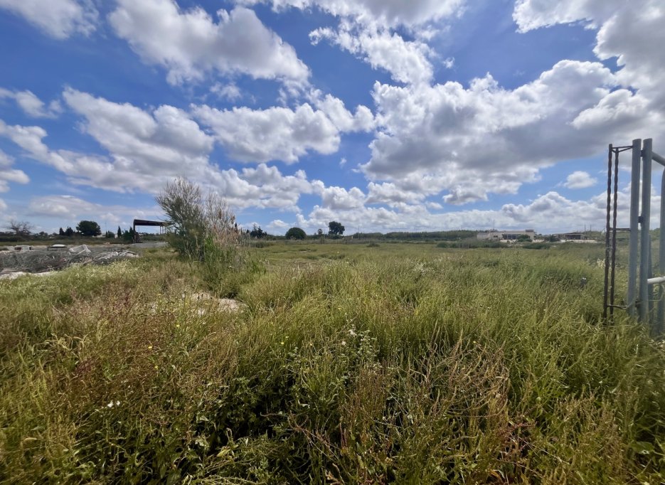 Resale - Plot - Catral