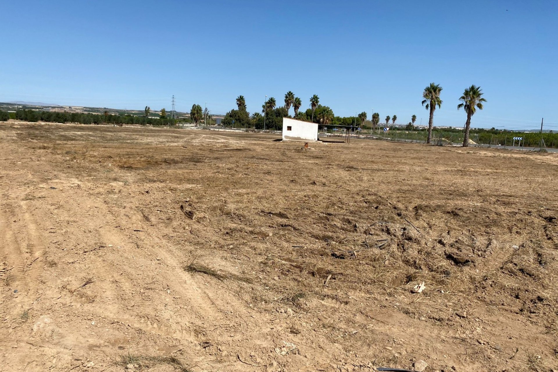 Resale - Plot / Land - San Miguel de Salinas - San Miguel Salinas