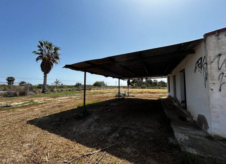 Resale - Plot / Land - San Miguel de Salinas - San Miguel Salinas