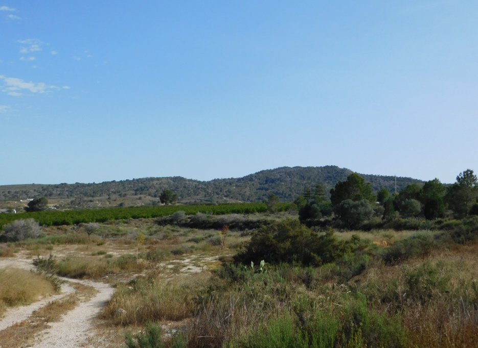 Resale - Plot / Land - Torremendo