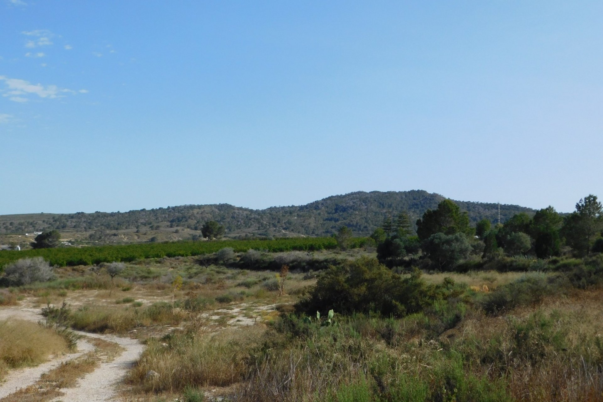 Resale - Plot / Land - Torremendo