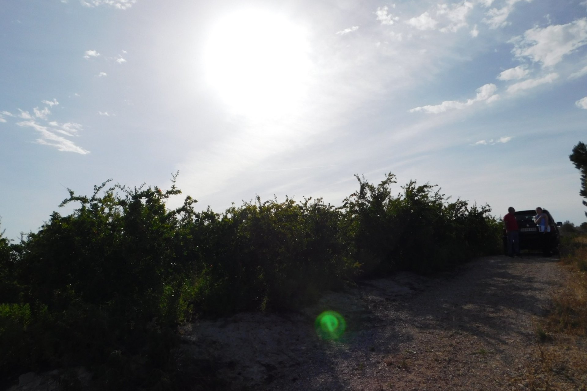 Resale - Plot / Land - Torremendo