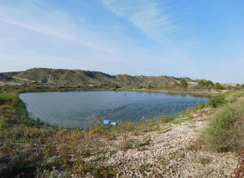 Resale - Plot / Land - Torremendo