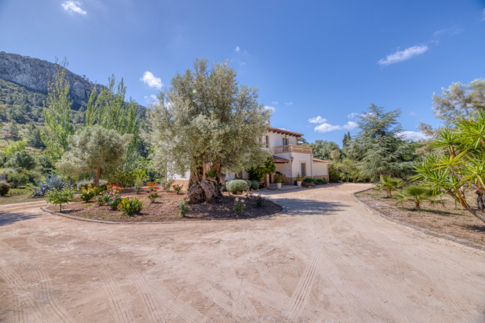 Resale - Villa - Esporlas - Mallorca