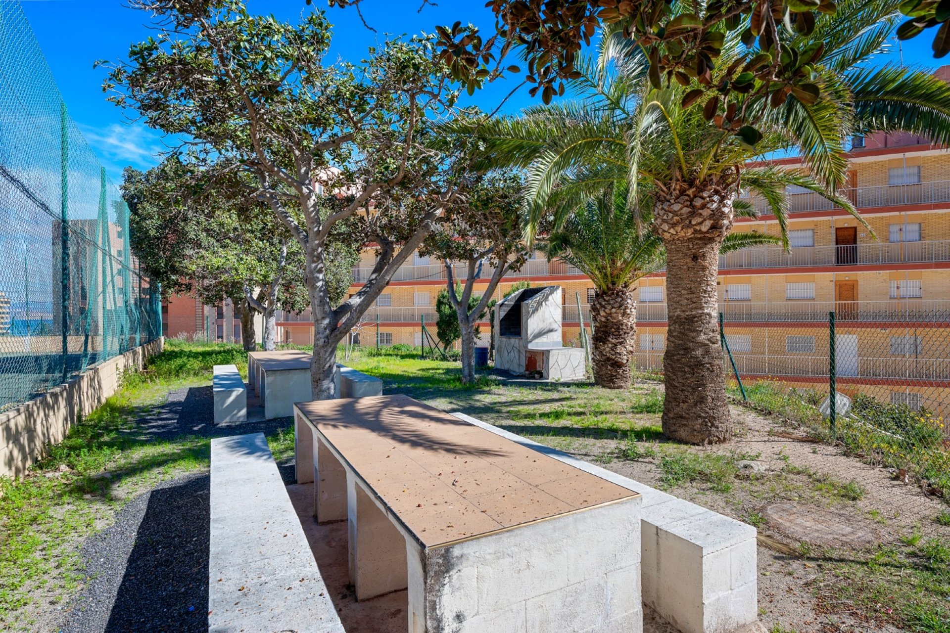 Revente - Apartment - Arenales del Sol - Segunda linea playa