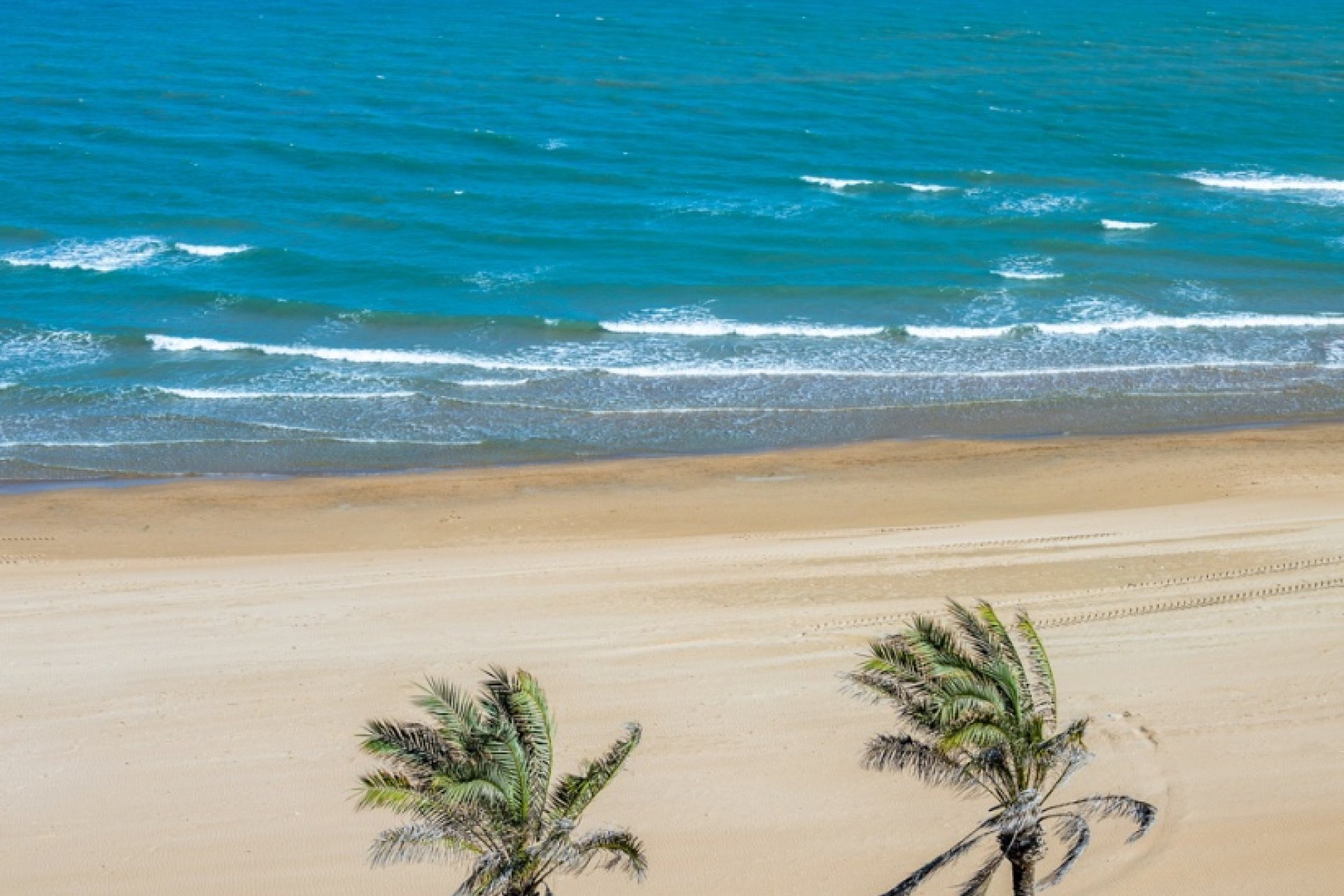 Revente - Apartment - Guardamar del Segura - Guardamar