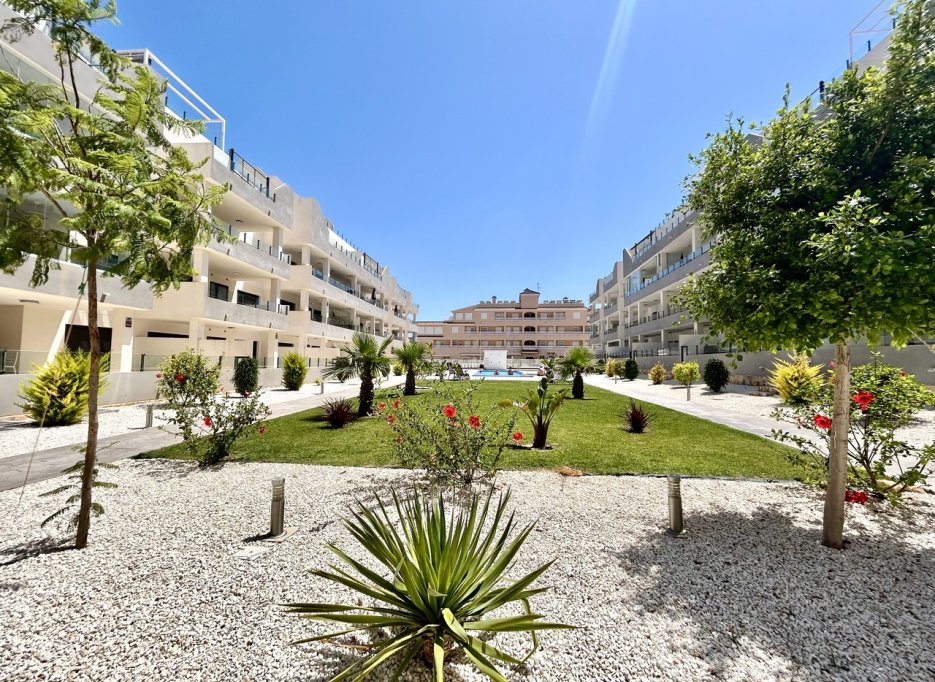 Revente - Apartment - Los Dolses