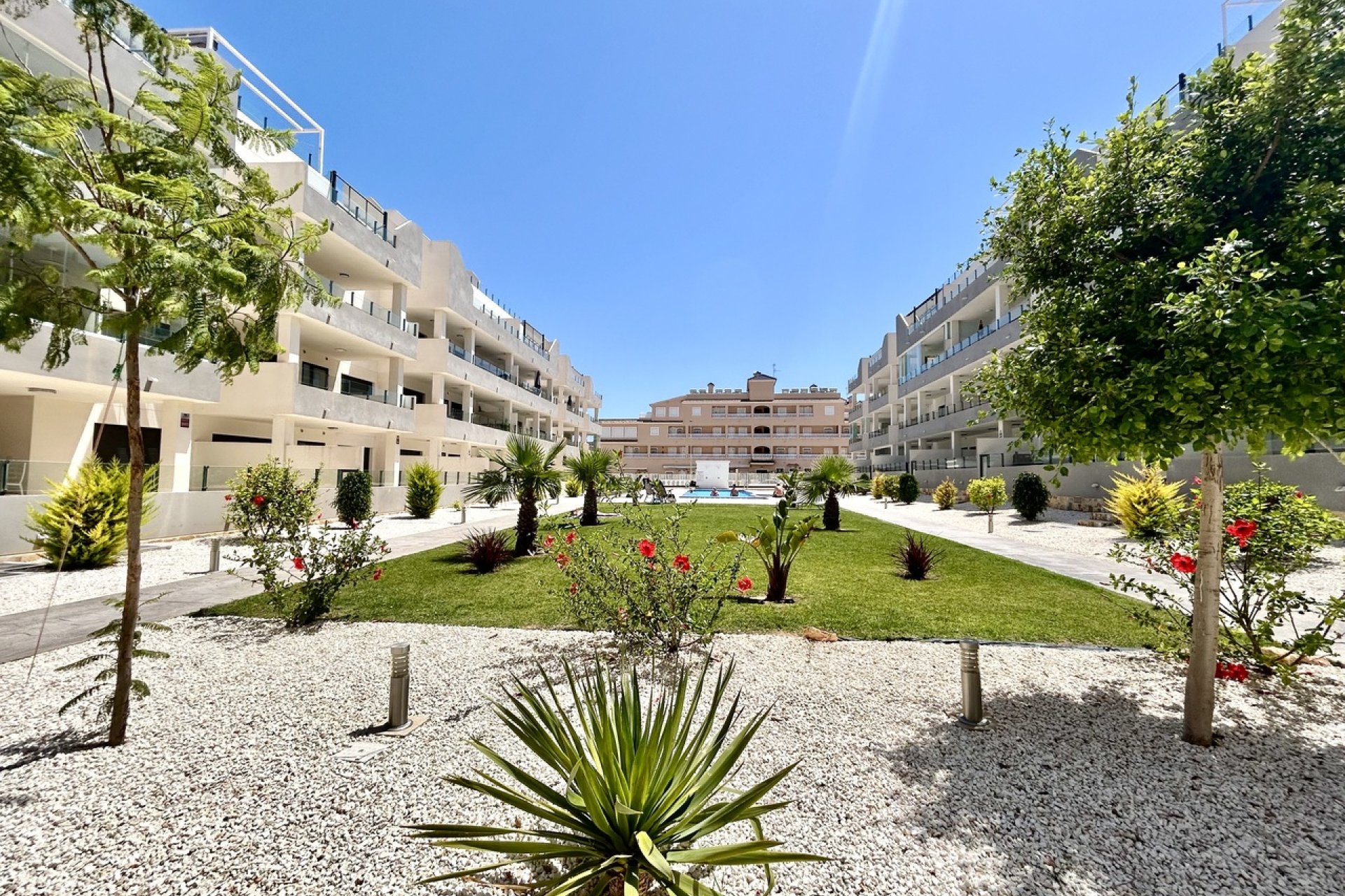 Revente - Apartment - Los Dolses