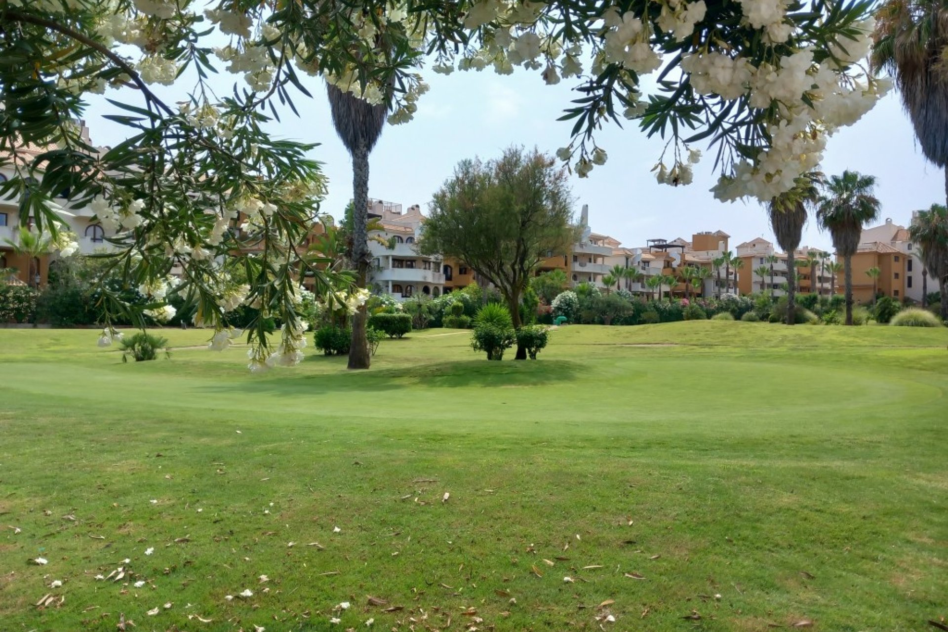 Revente - Apartment - Punta Prima