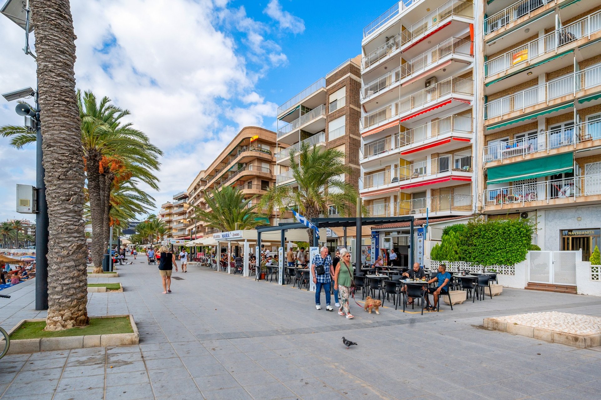 Revente - Apartment - Torrevieja