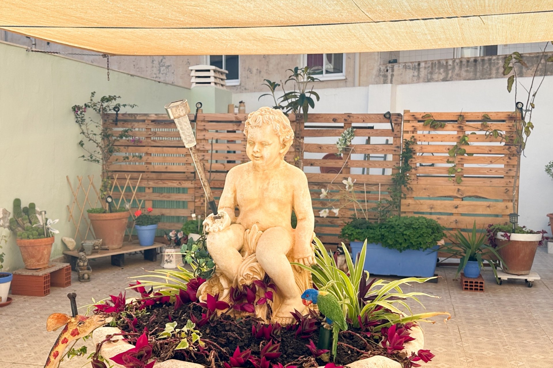Revente - Appartement - Torrevieja - Centro