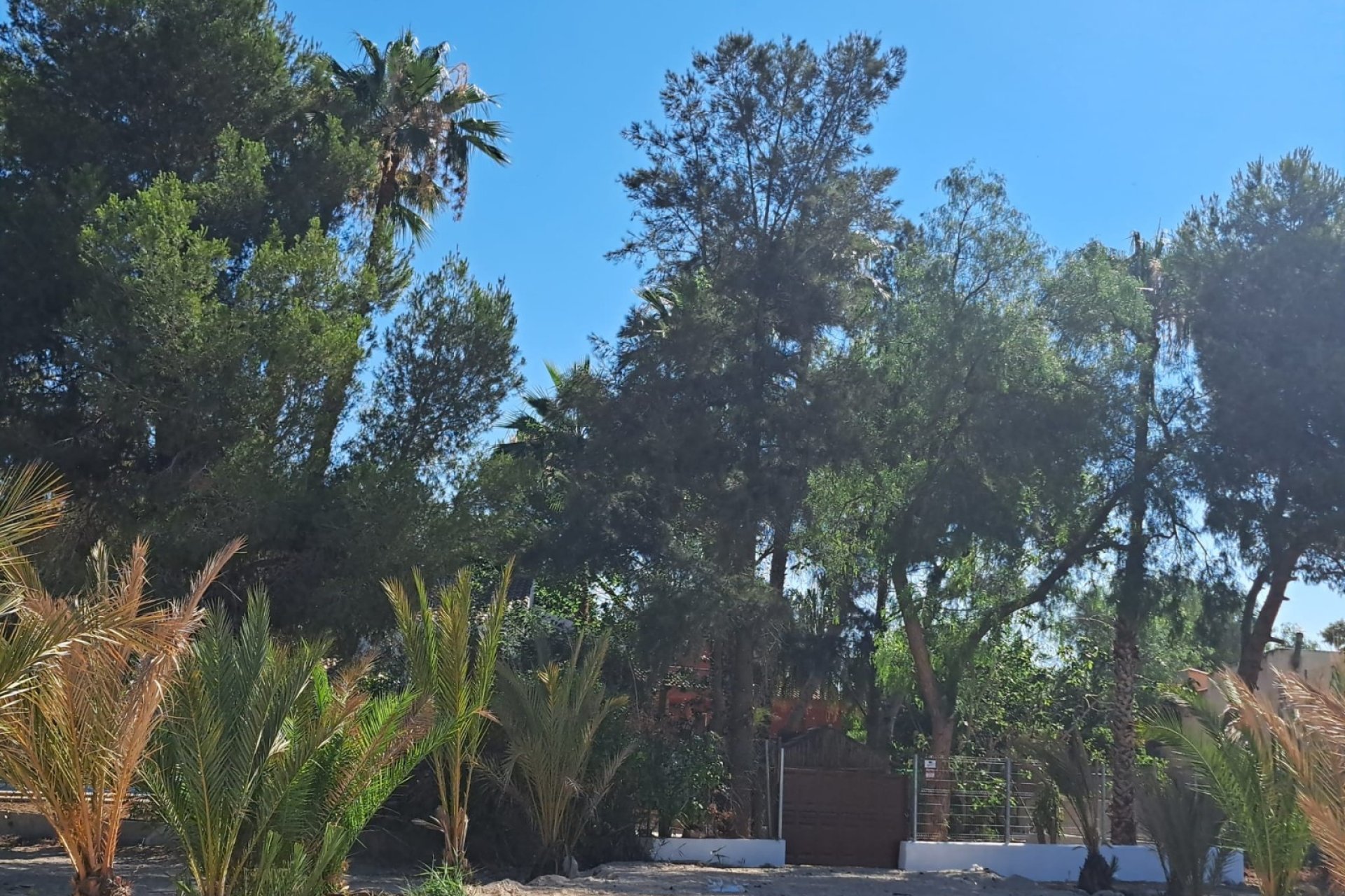 Revente - Detached Villa - Orihuela