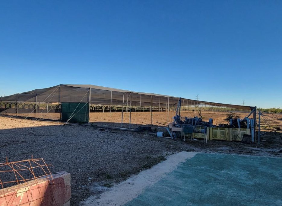 Revente - Finca / Country Property - San Miguel de Salinas