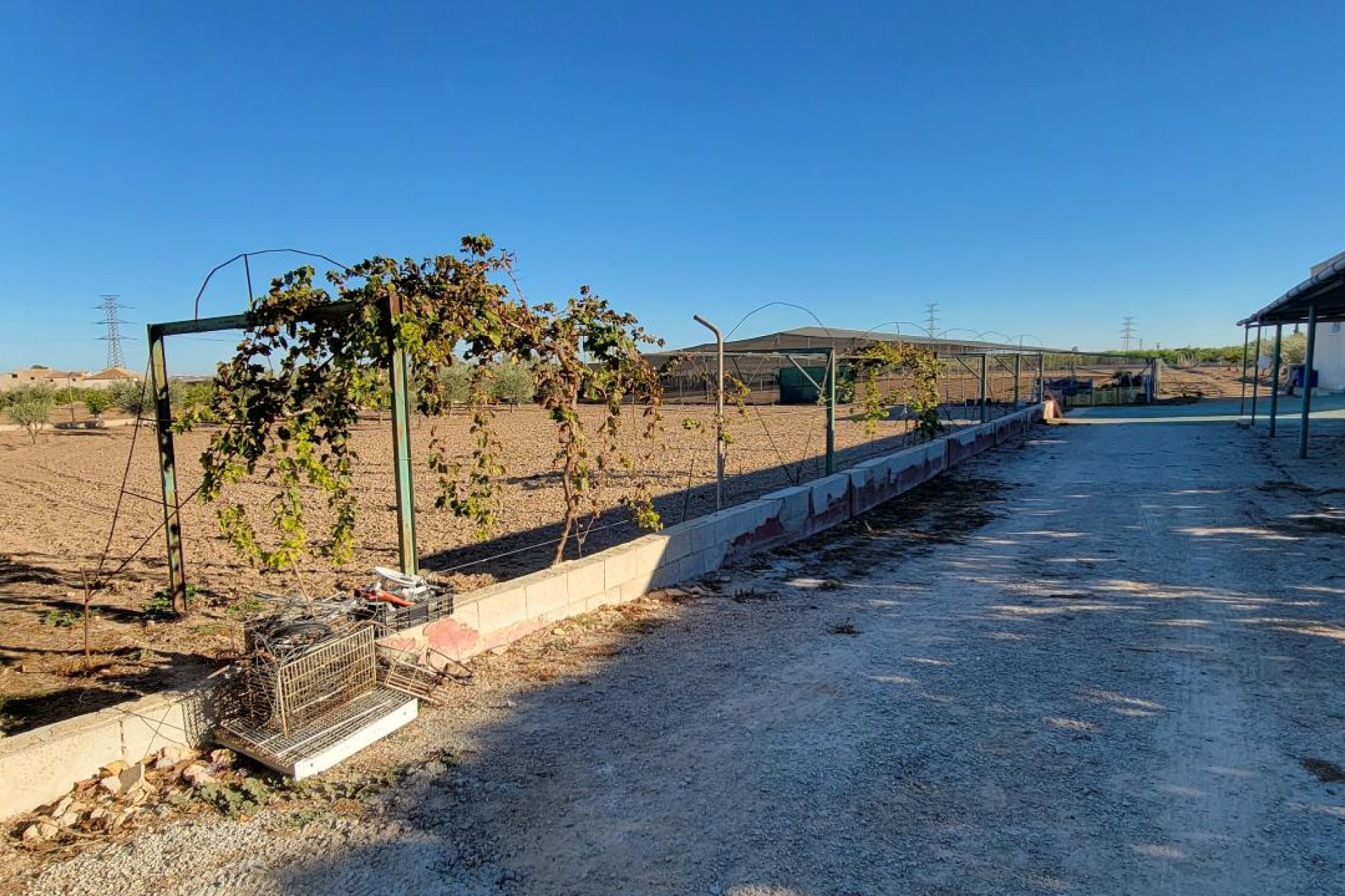 Revente - Finca / Country Property - San Miguel de Salinas