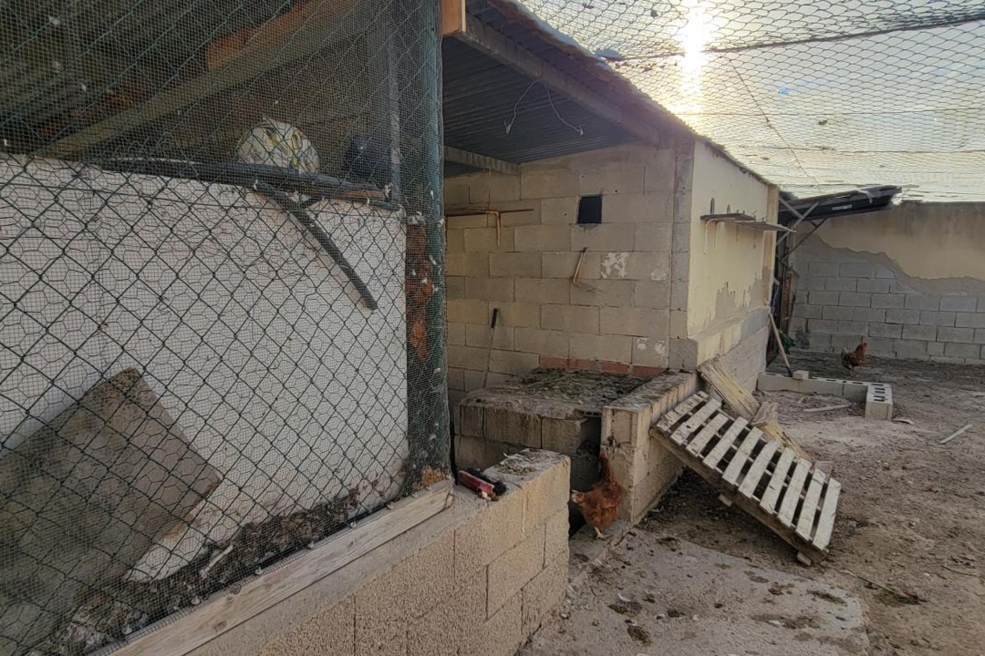 Revente - Finca / Country Property - San Miguel de Salinas