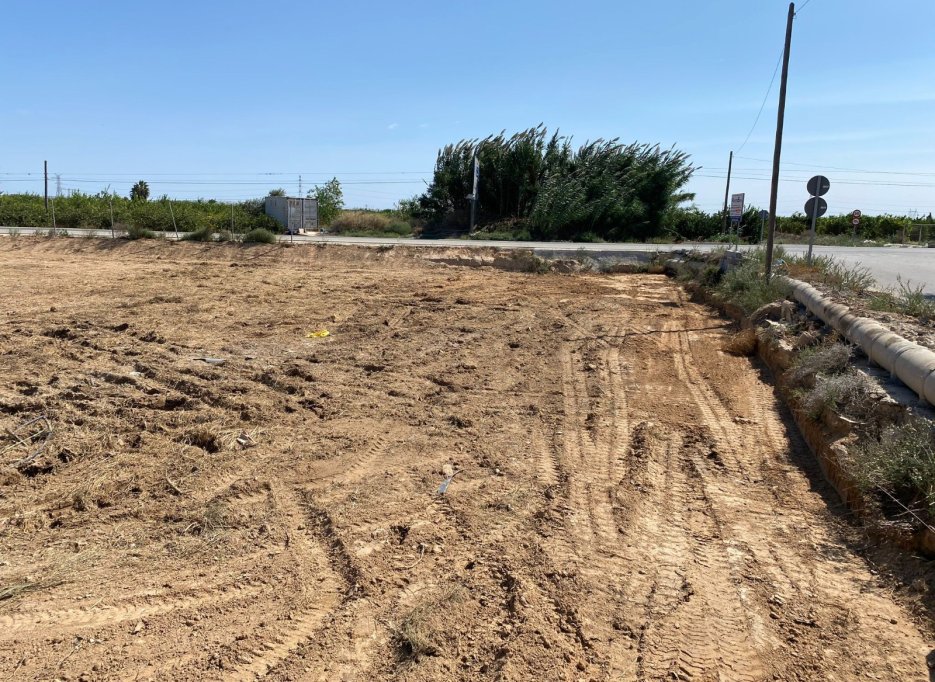 Revente - Parcelle / Terrain - San Miguel de Salinas - San Miguel Salinas