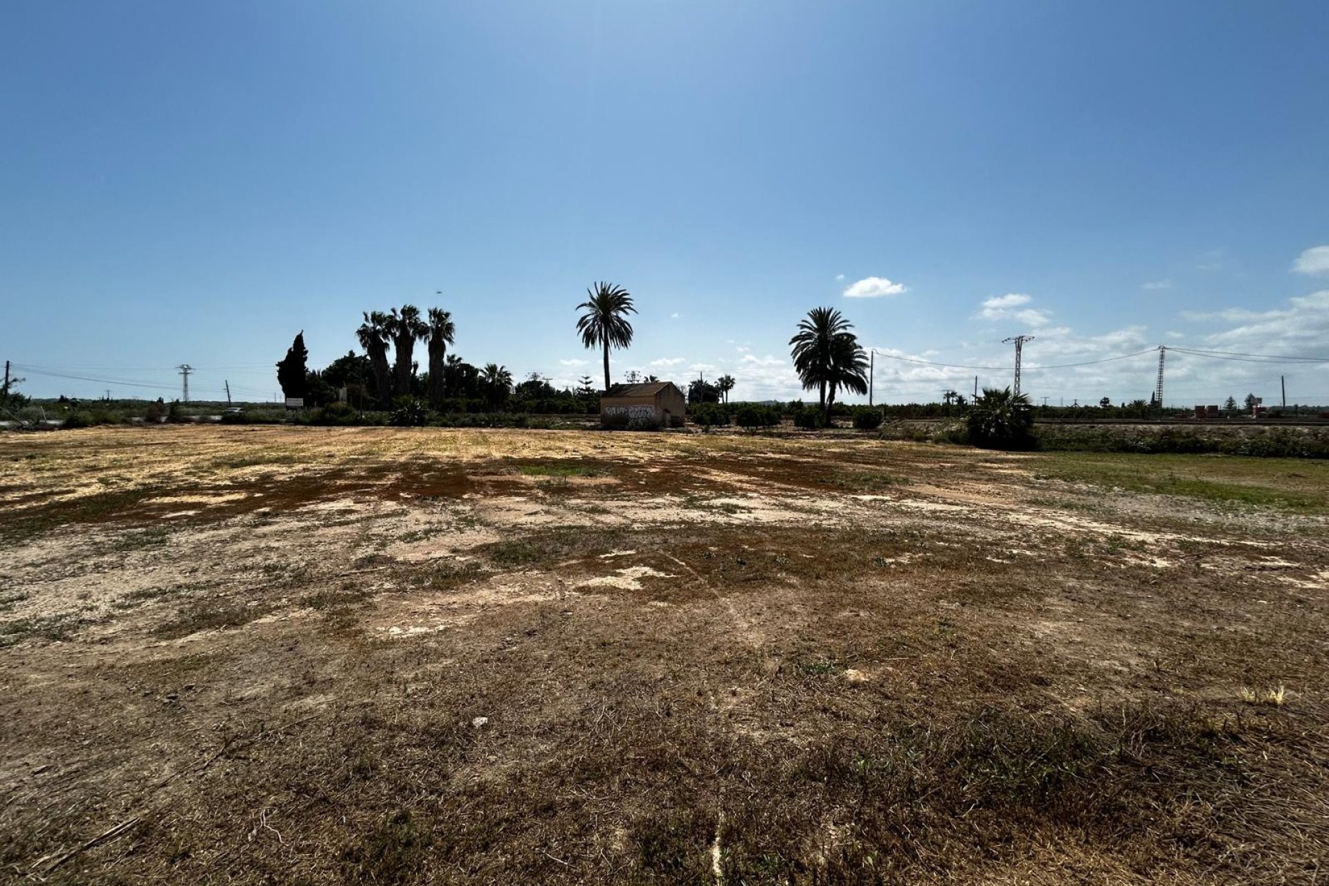 Revente - Parcelle / Terrain - San Miguel de Salinas - San Miguel Salinas
