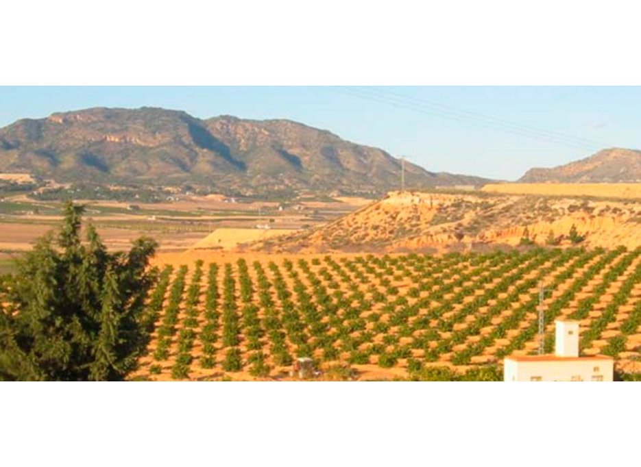 Revente - Plot - Torre Pacheco
