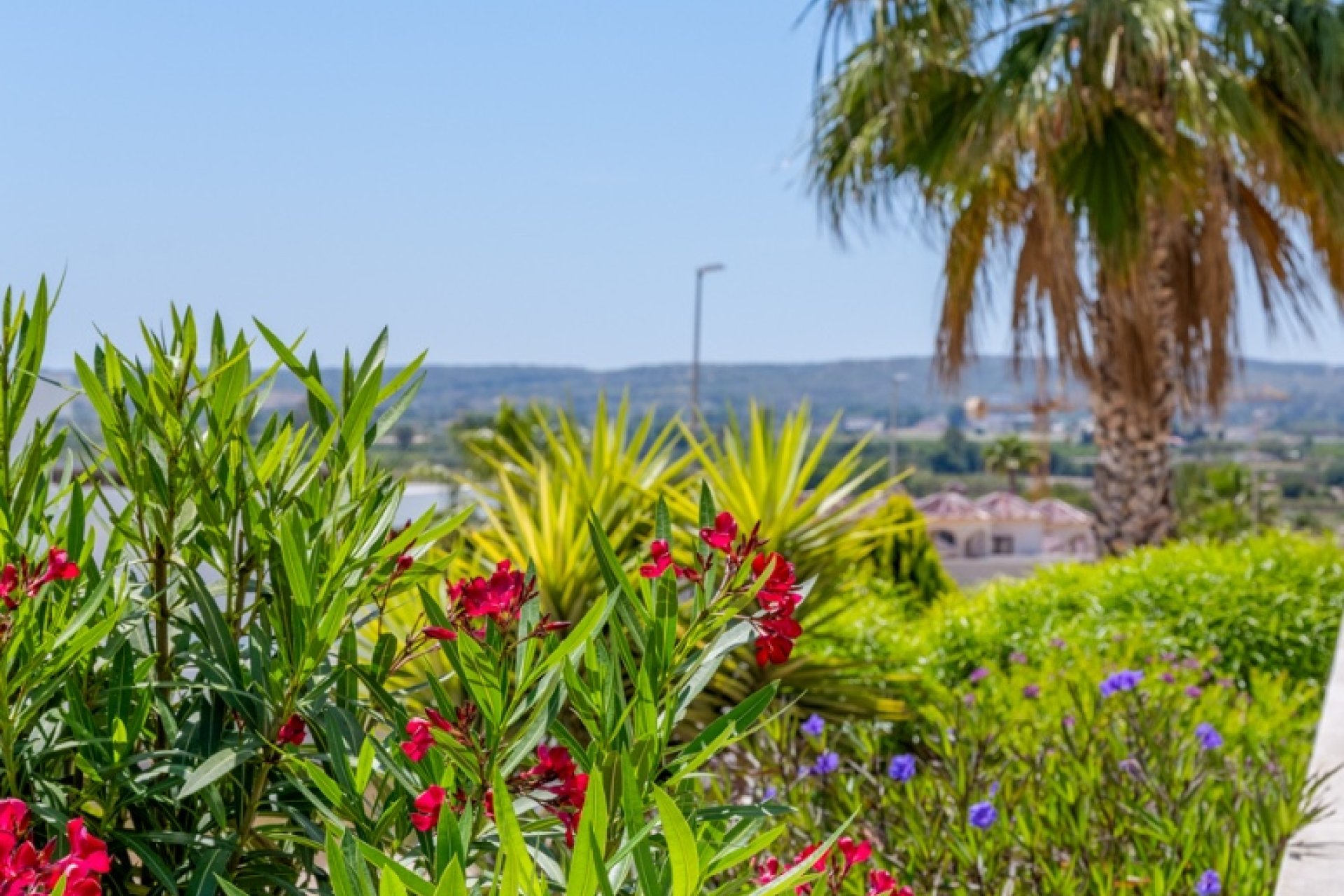 Revente - Villa - La Marina