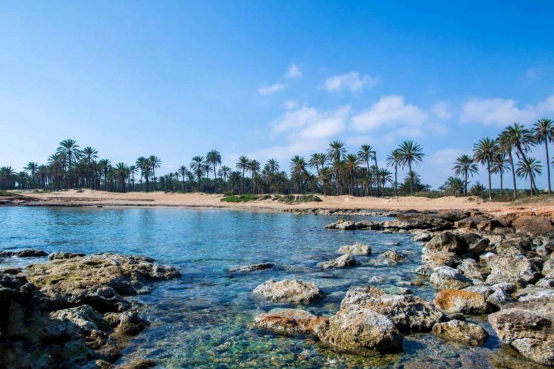 Revente - Villa - Orihuela Costa - La Florida