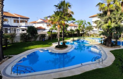 Studio - Herverkoop - Torrevieja - SR-81778