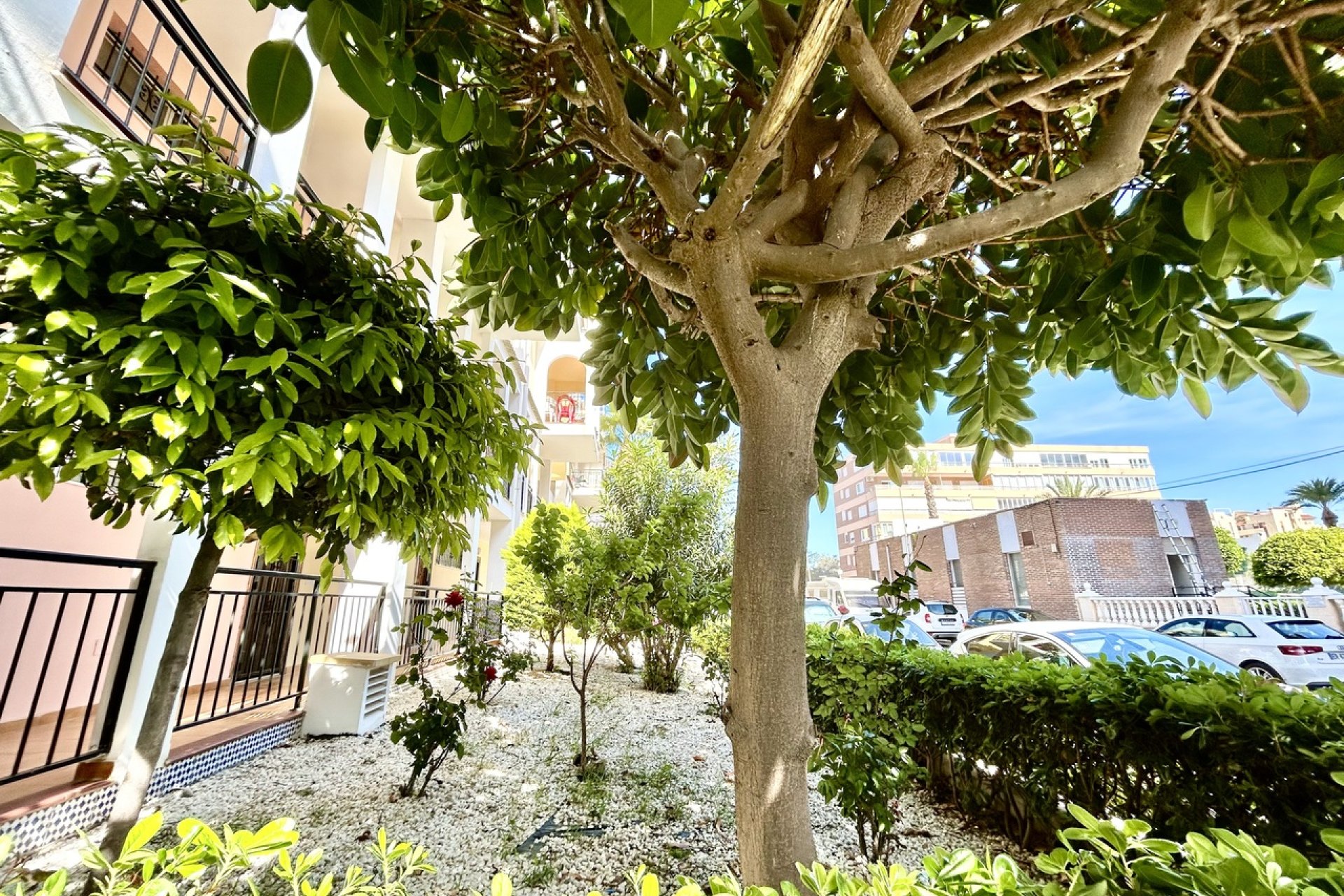 Videresalg - Apartment - Torrevieja