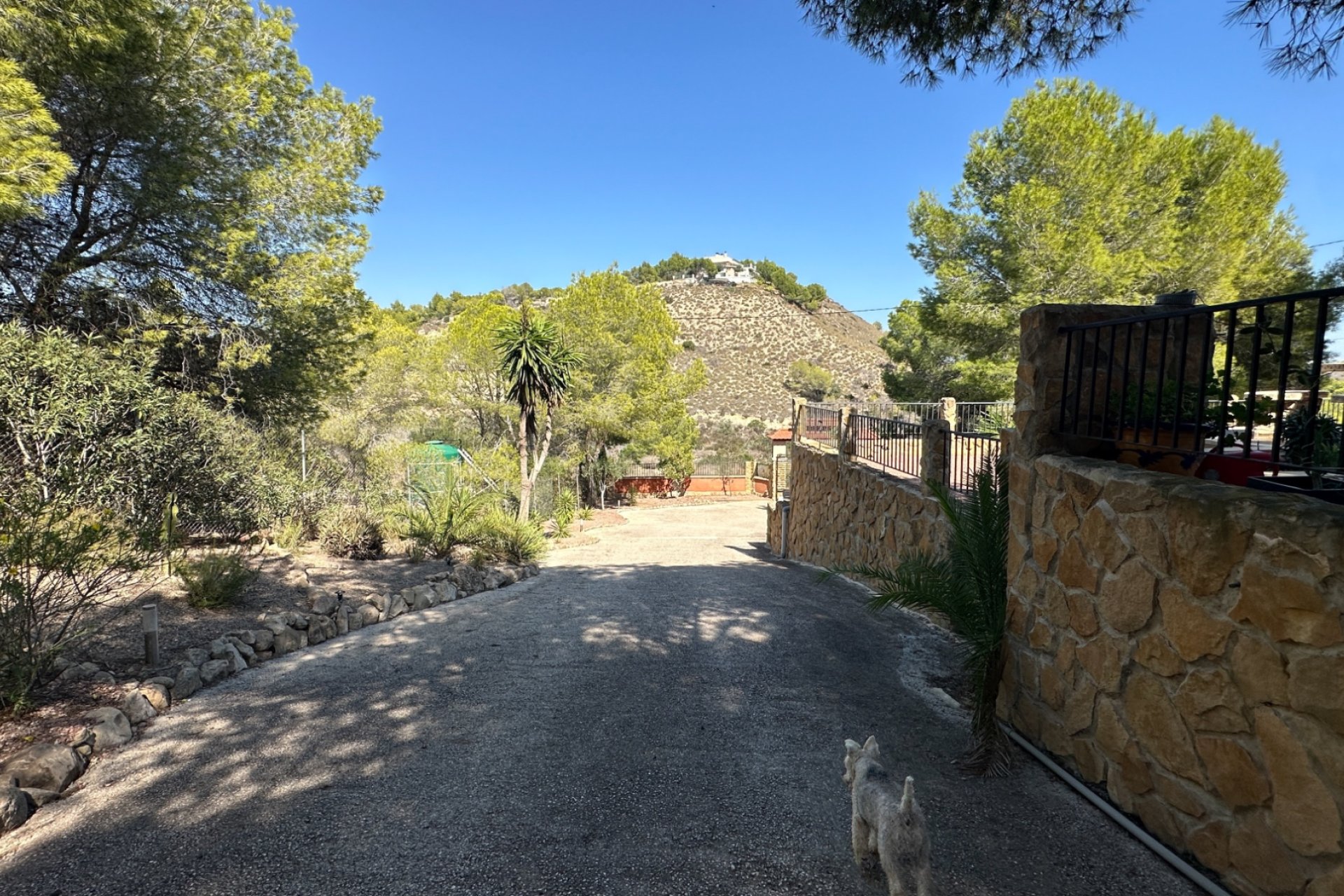 Videresalg - Finca / Country House - San Miguel de Salinas - Costa Blanca Sur