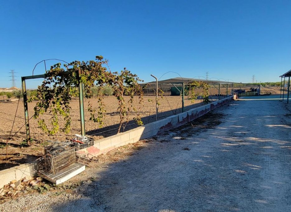 Videresalg - Finca / Country Property - San Miguel de Salinas