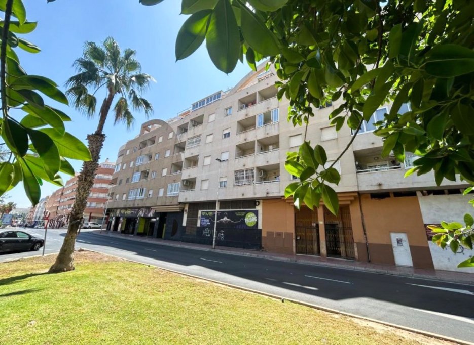 Videresalg - Leilighet / leilighet - Torrevieja - Centro
