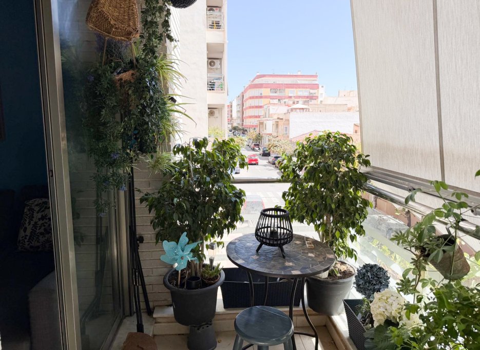 Videresalg - Leilighet / leilighet - Torrevieja - Centro