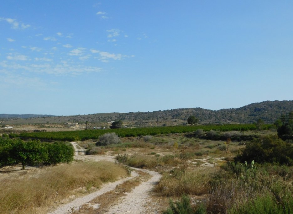 Videresalg - Tomt / Land - Torremendo