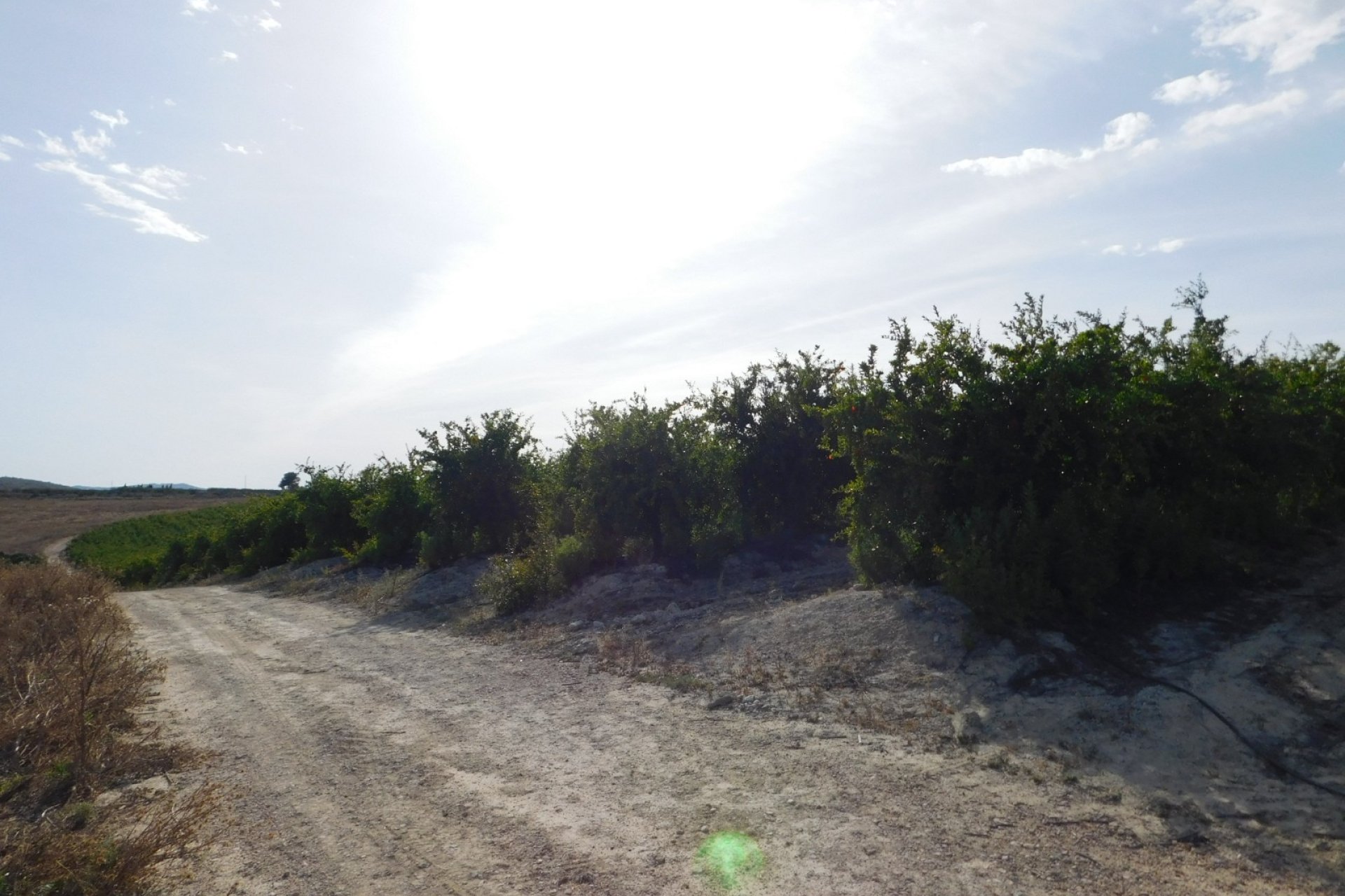 Videresalg - Tomt / Land - Torremendo